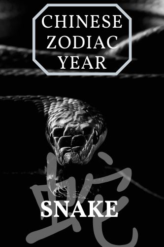 Chinese Zodiac Year Snake